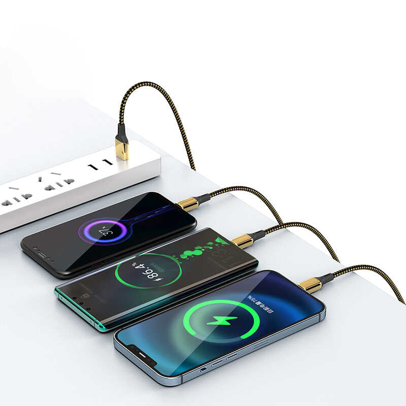 Wiwu Golden Series GD-101 Type-C Data Kablo 1.2M