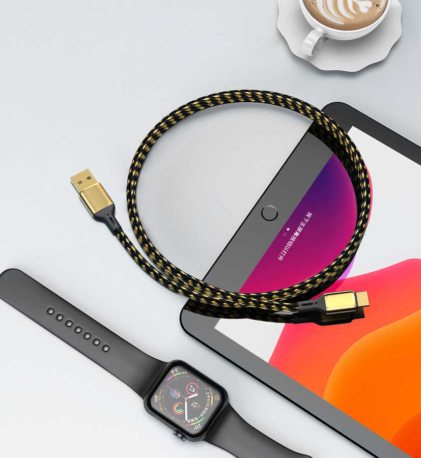 Wiwu Golden Series GD-101 Type-C Data Kablo 3M