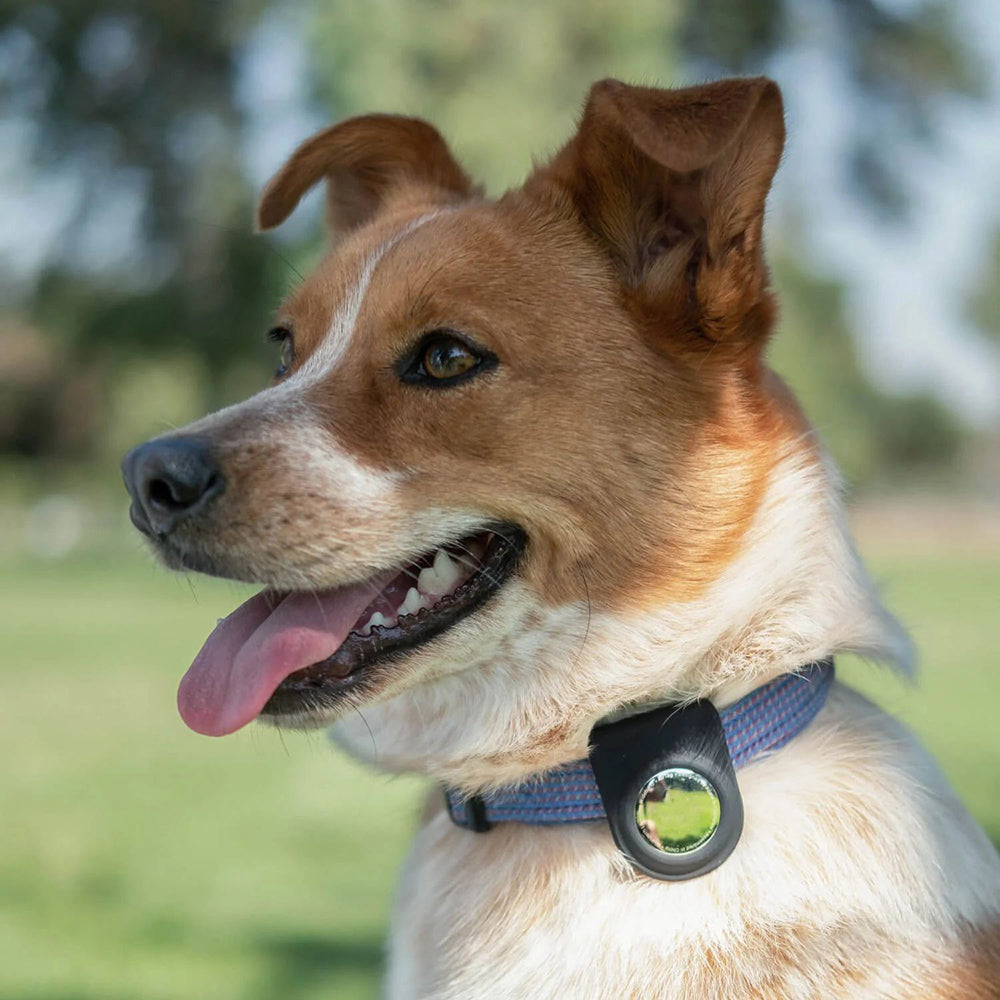 Apple Airtag Raptic Anchor Serisi Klipsli Airtag Kılıfı