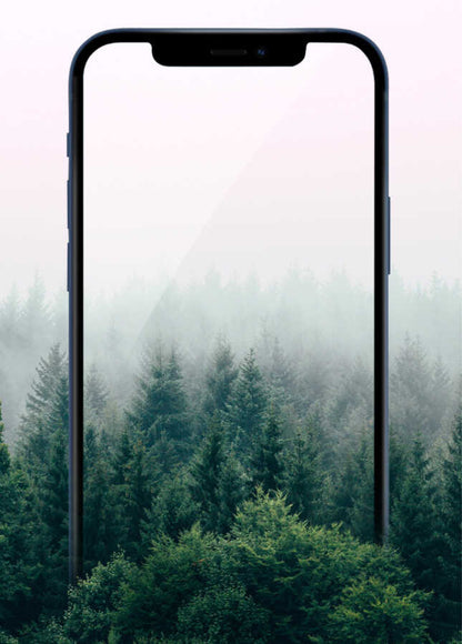 Apple iPhone 14 Pro Wiwu iPrivacy HD Anti-Peep Ekran Koruyucu