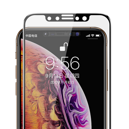 Apple iPhone XS Max 6.5 Benks 0.3mm V Pro Privacy Ekran Koruyucu