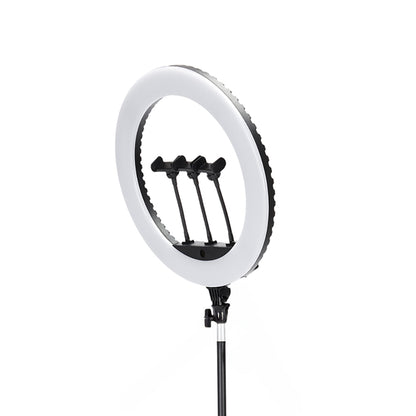Jmary FM-18R Uzaktan Kumandalı 43cm Işıklı Telefon Tutucu Ring Light