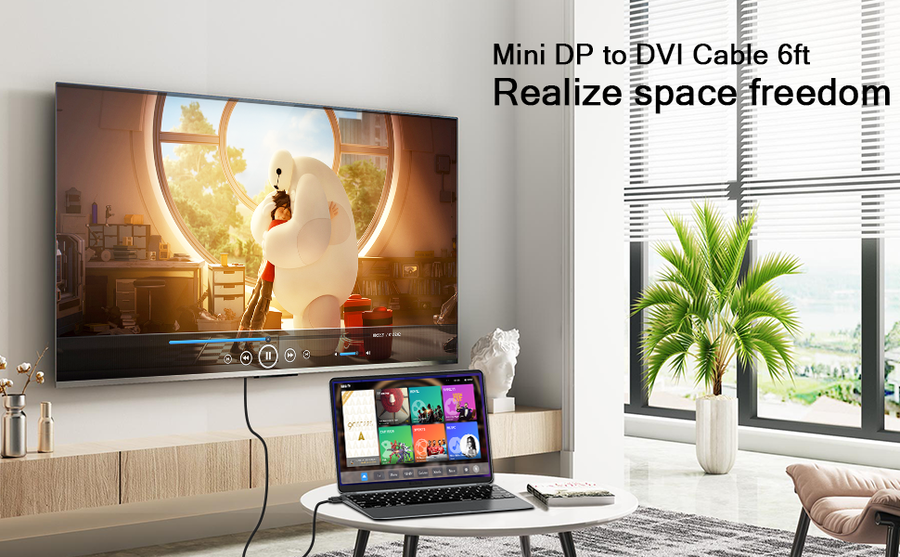 Qgeem QG-HD30 DVI To Mini Display Port Kablo