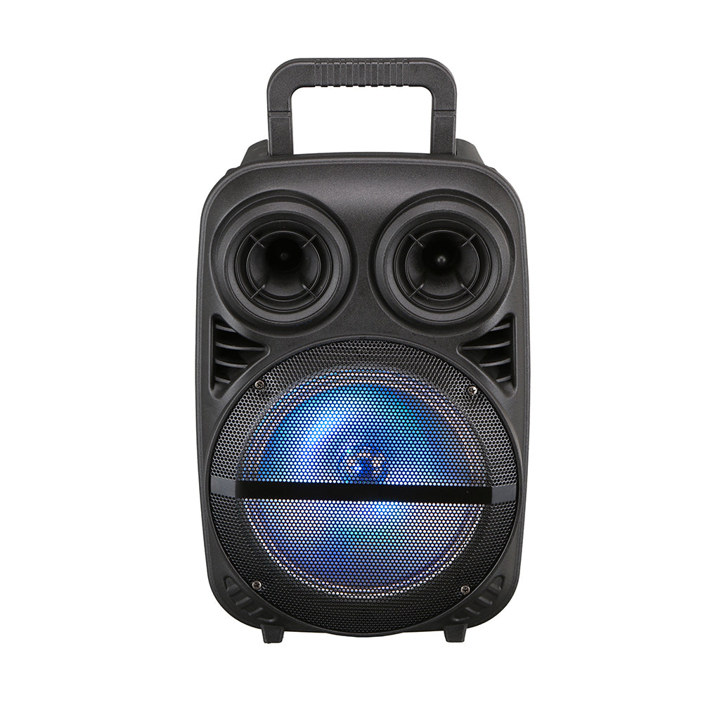 Zore PK-15 FM Radyolu Mikrofonlu RGB TWS 8 inç Stereo Bass Kablosuz Karaoke Hoparlör
