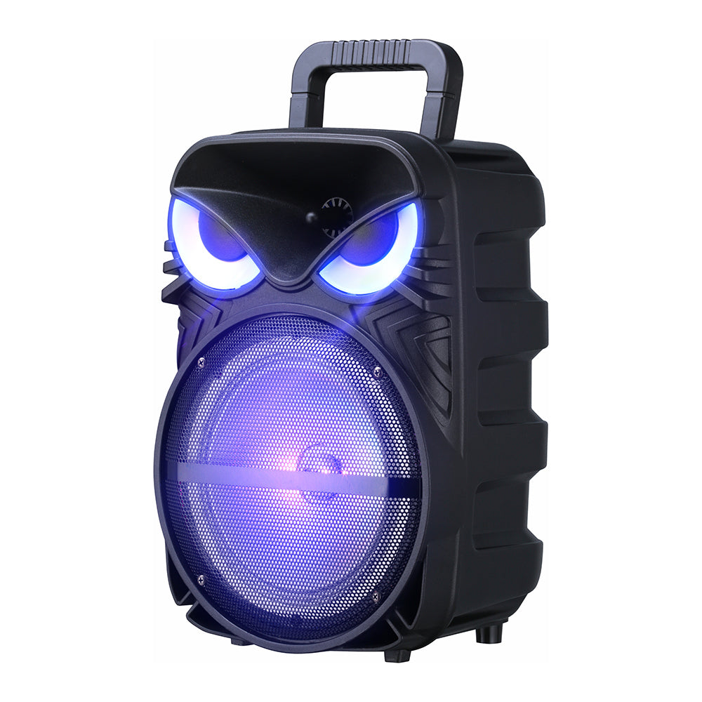 Zore PK-17 FM Radyolu Mikrofonlu RGB TWS 8 inç Stereo Bass Kablosuz Karaoke Hoparlör